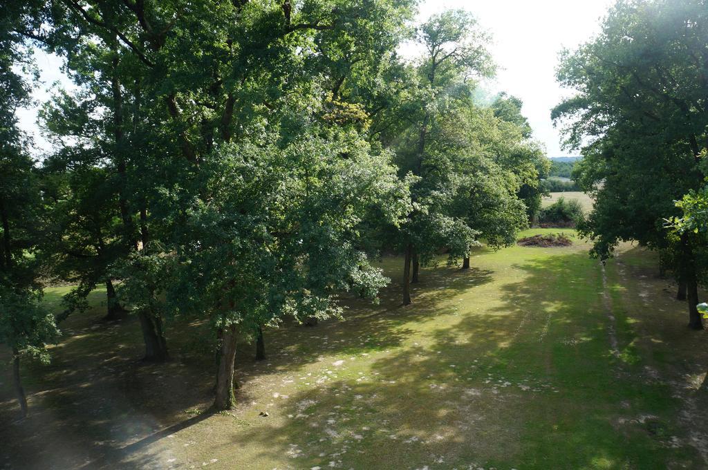 Aliotel Cazères-sur-lʼAdour Kamer foto